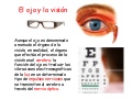 El ojo y la visión